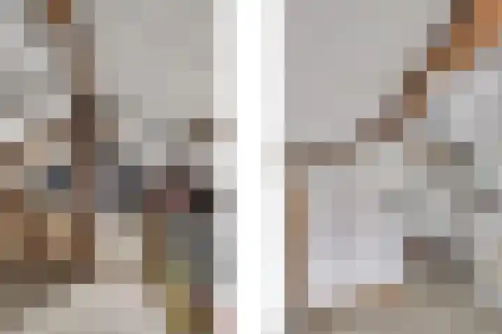 Mezenlaan 38 Dieren thumbnail 30