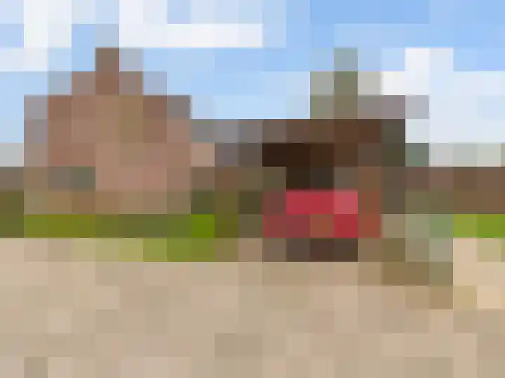 Mezenlaan 38 Dieren thumbnail 31