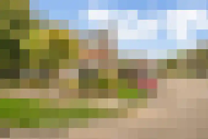 Mezenlaan 38 Dieren thumbnail 32