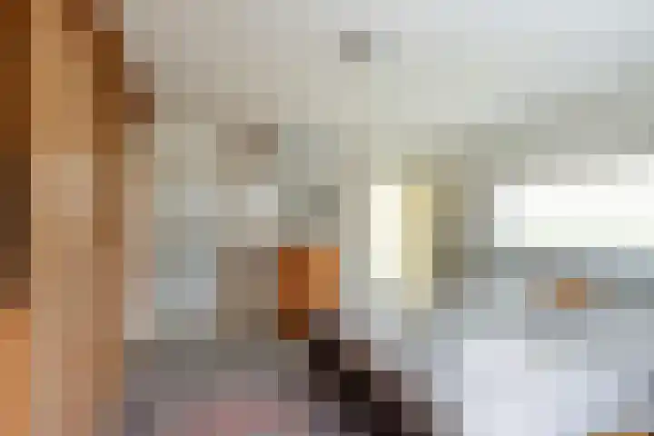 Mezenlaan 38 Dieren thumbnail 33