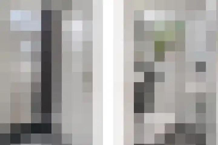 Mezenlaan 38 Dieren thumbnail 6
