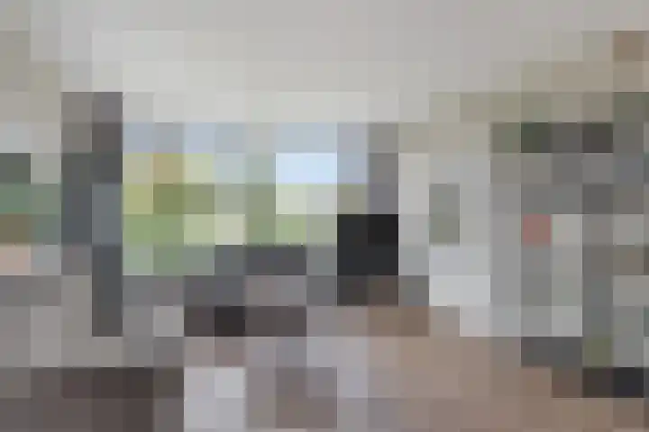 Mezenlaan 38 Dieren thumbnail 8