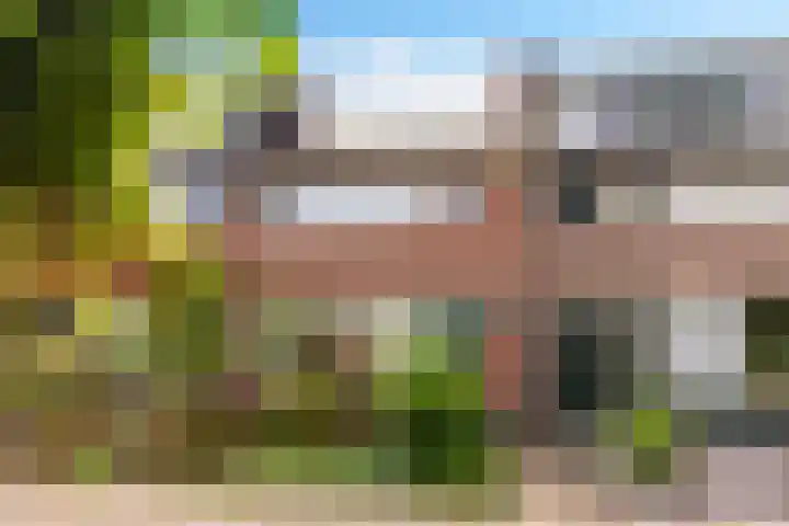 Mezenlaan 4 Dieren