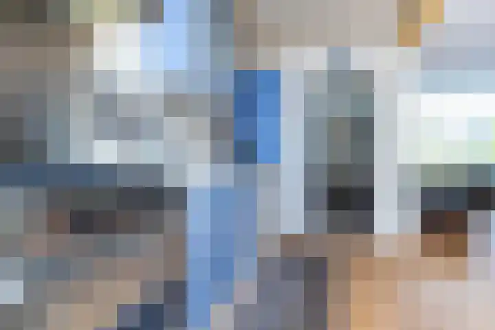 Mezenlaan 4 Dieren thumbnail 10