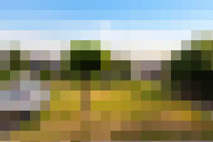 Mezenlaan 4 Dieren thumbnail 29