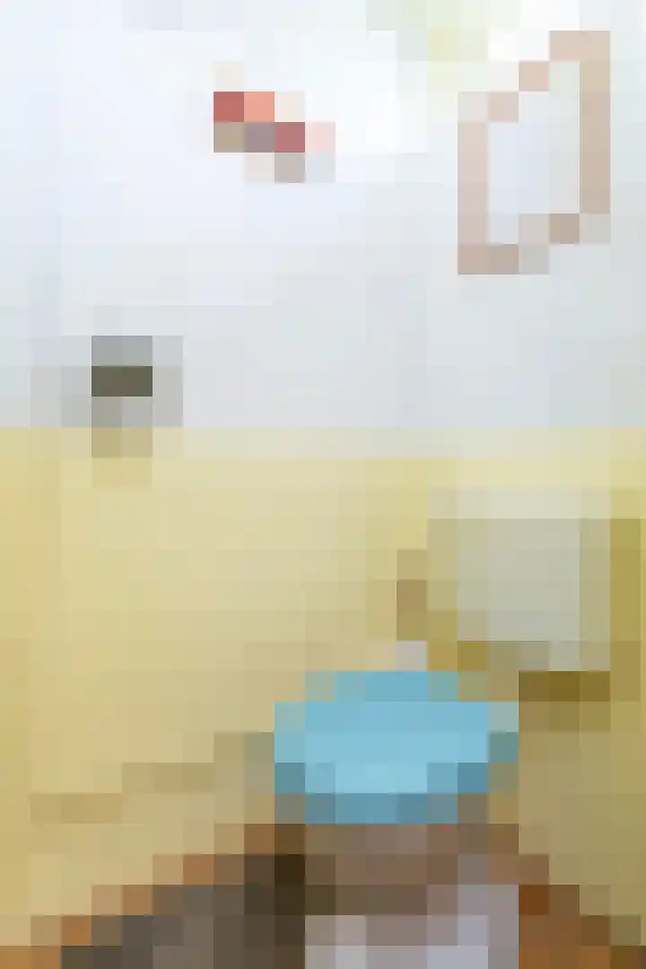 Mezenlaan 4 Dieren thumbnail 7