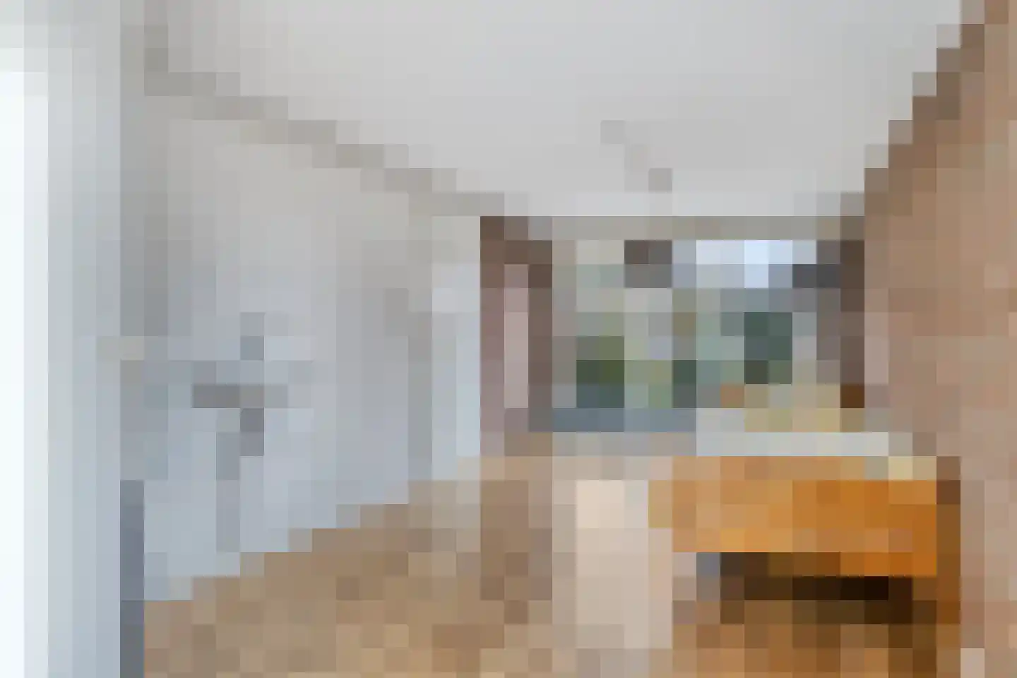 Mezenlaan 43 Oosterhout thumbnail 11