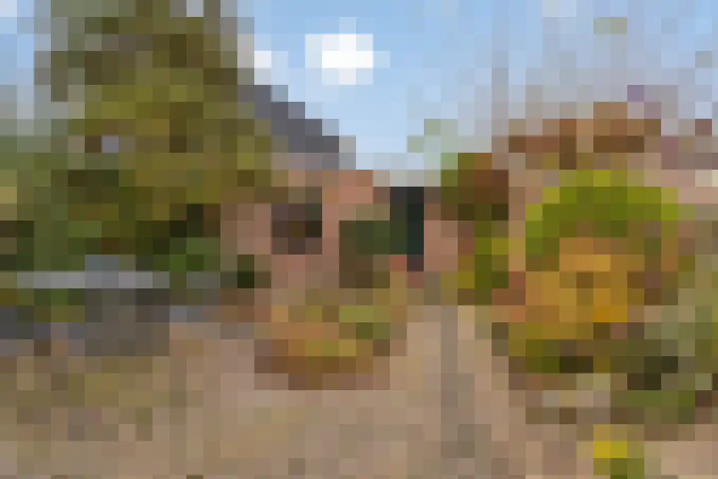 Mezenlaan 43 Oosterhout thumbnail 24