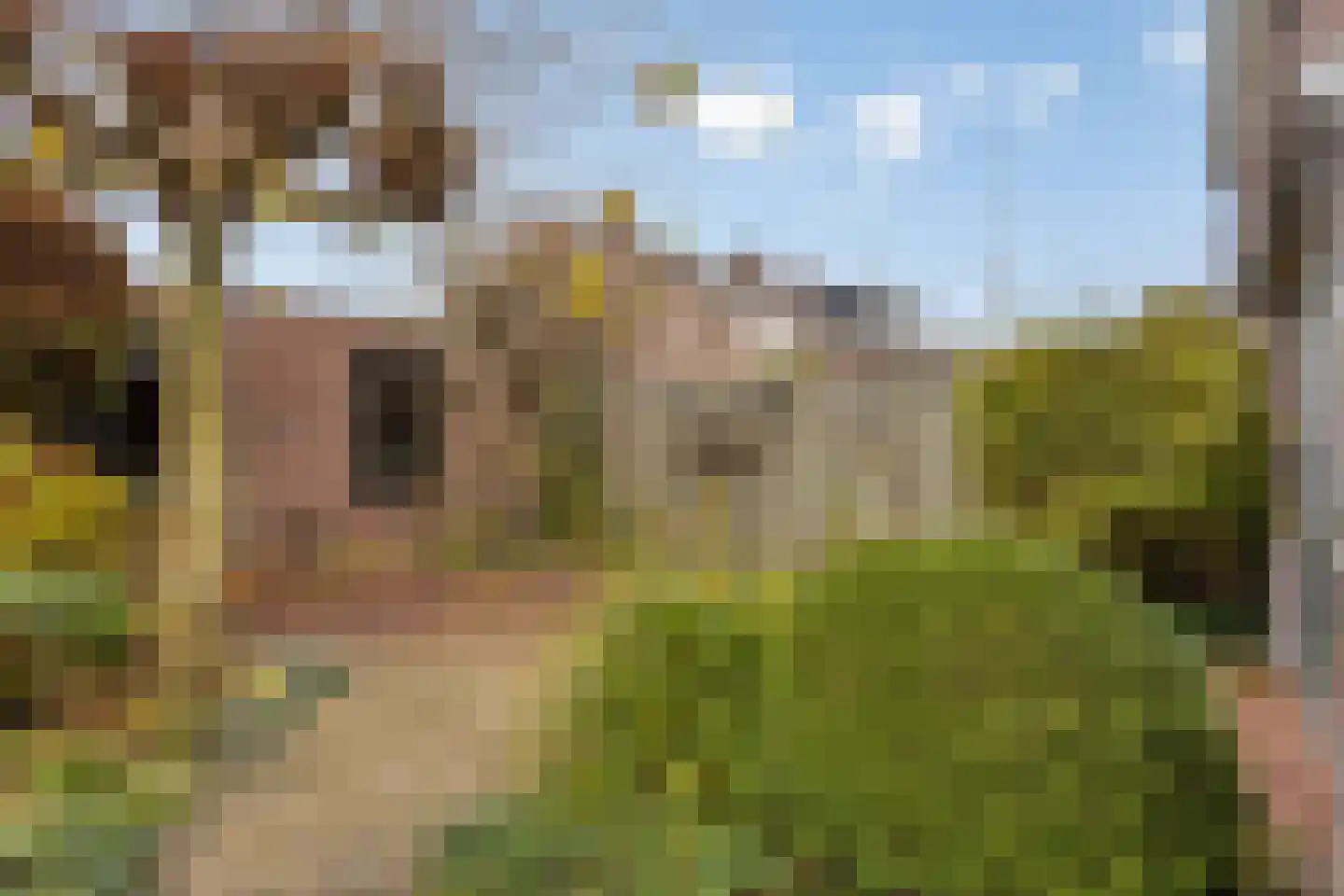 Mezenlaan 43 Oosterhout thumbnail 26