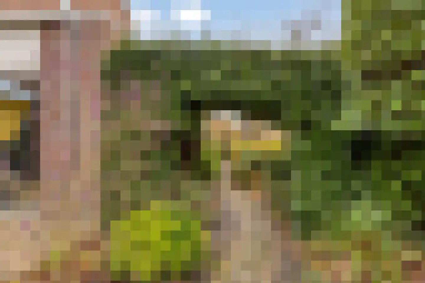 Mezenlaan 43 Oosterhout thumbnail 27