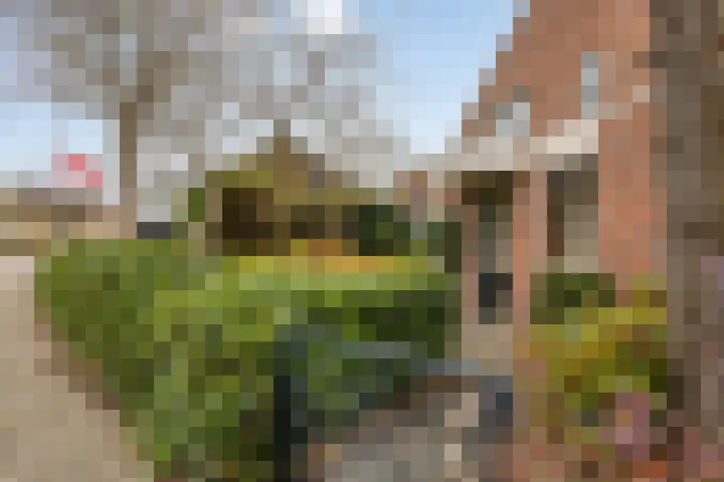 Mezenlaan 43 Oosterhout thumbnail 28
