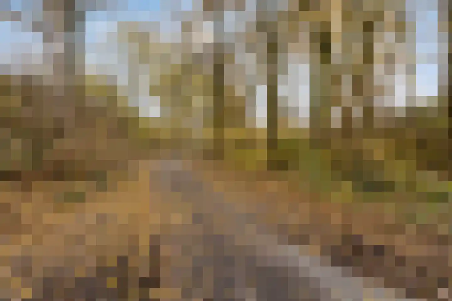 Mezenlaan 43 Oosterhout thumbnail 31