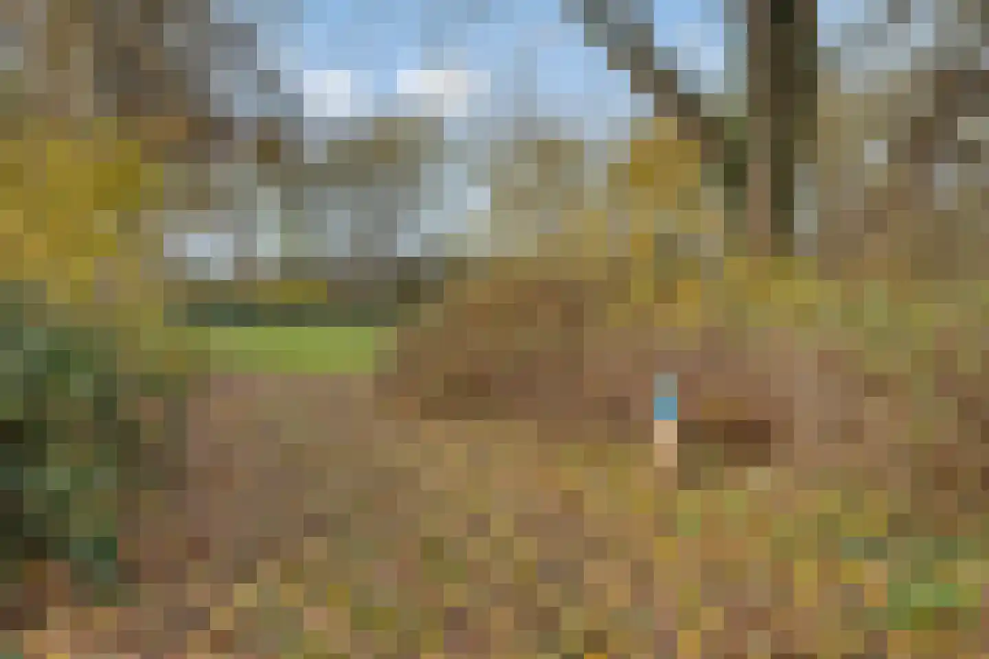 Mezenlaan 43 Oosterhout thumbnail 33