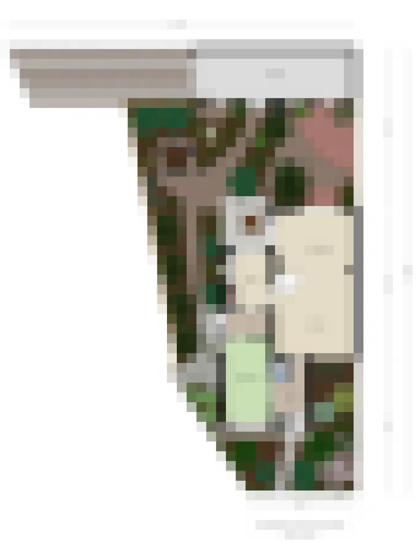 Mezenlaan 43 Oosterhout thumbnail 39