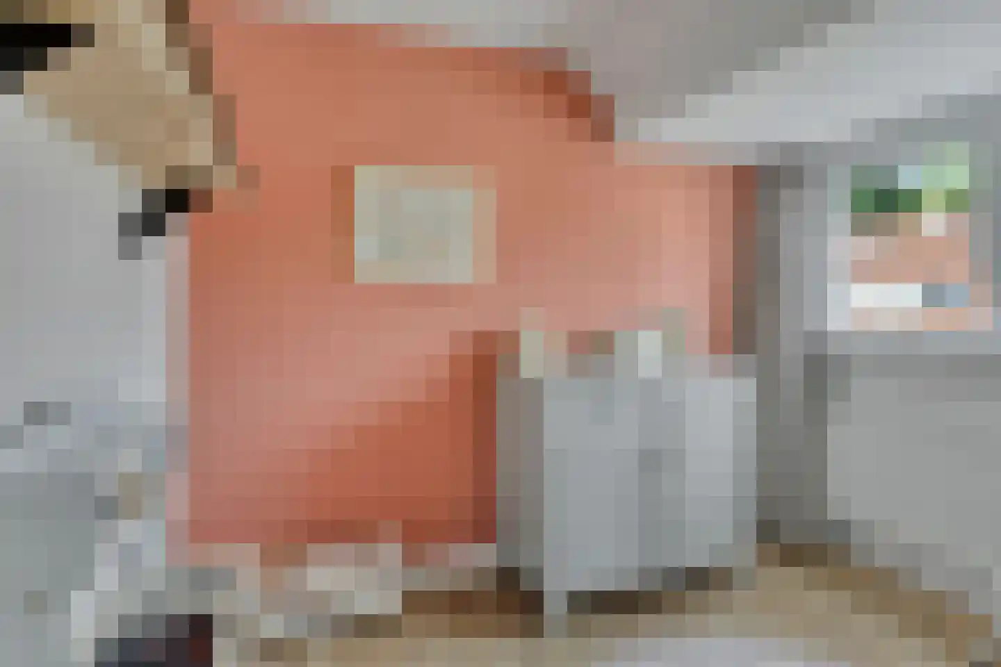 Mezenlaan 5 Haren Gn thumbnail 11