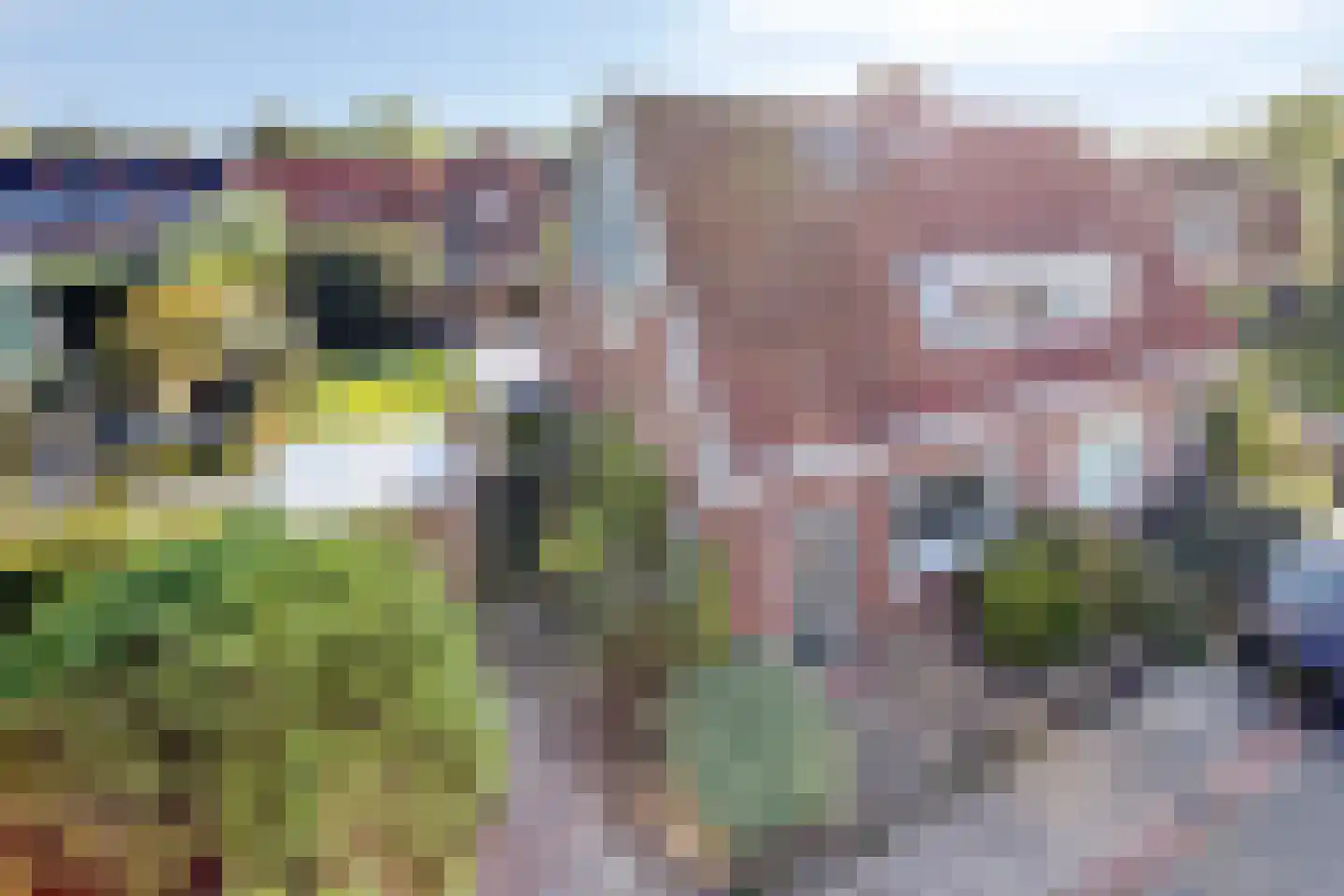 Mezenlaan 5 Haren Gn foto 2