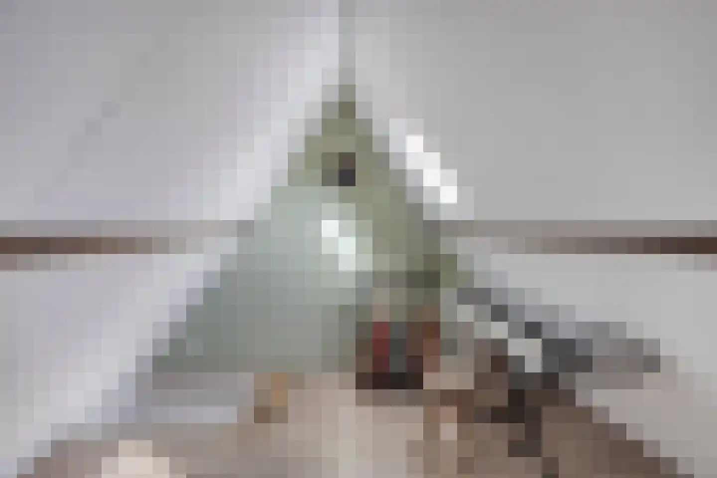 Mezenlaan 5 Haren Gn thumbnail 33