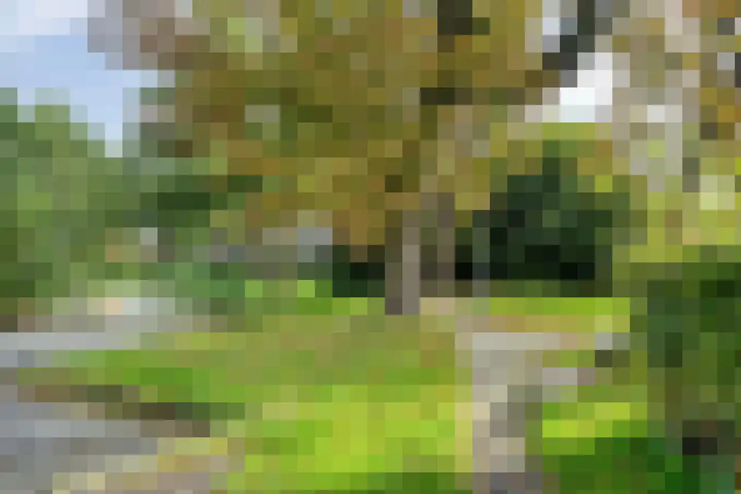 Mezenlaan 5 Haren Gn thumbnail 38