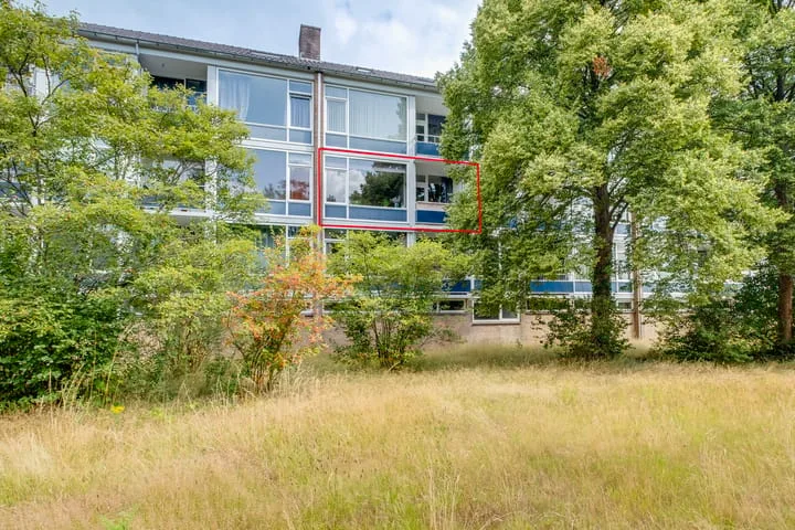 Mezenlaan 57 Dieren