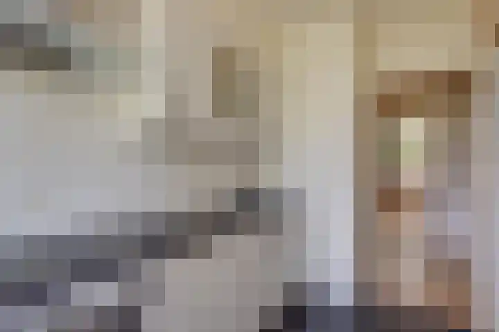 Mezenlaan 57 Dieren thumbnail 13