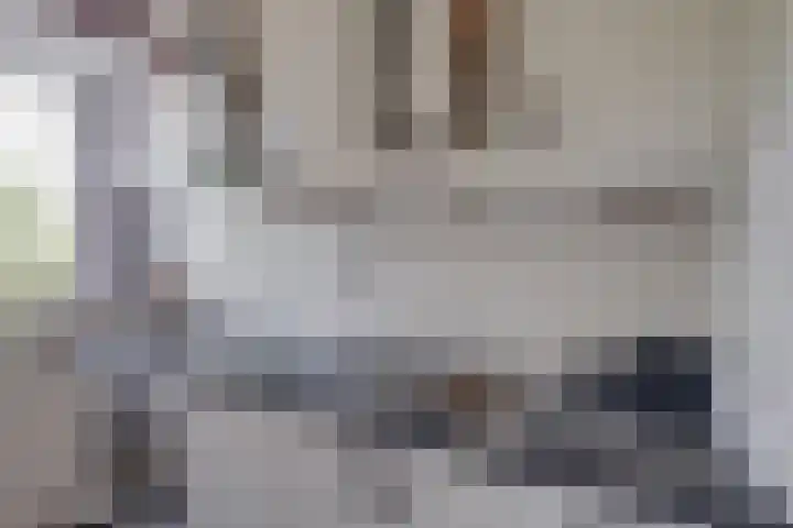 Mezenlaan 57 Dieren thumbnail 14