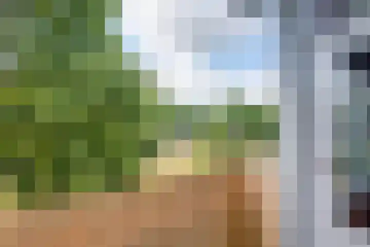 Mezenlaan 57 Dieren thumbnail 21