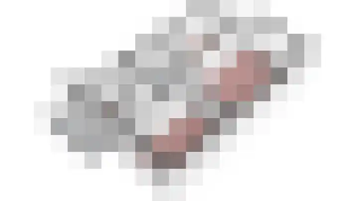 Mezenlaan 57 Dieren thumbnail 30