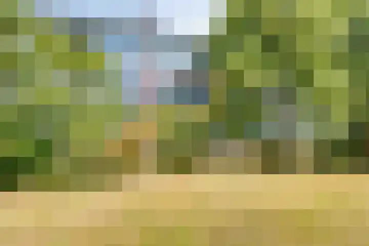 Mezenlaan 57 Dieren thumbnail 33