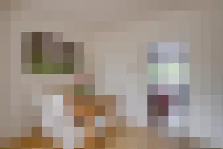 Mezenlaan 57 Dieren thumbnail 9