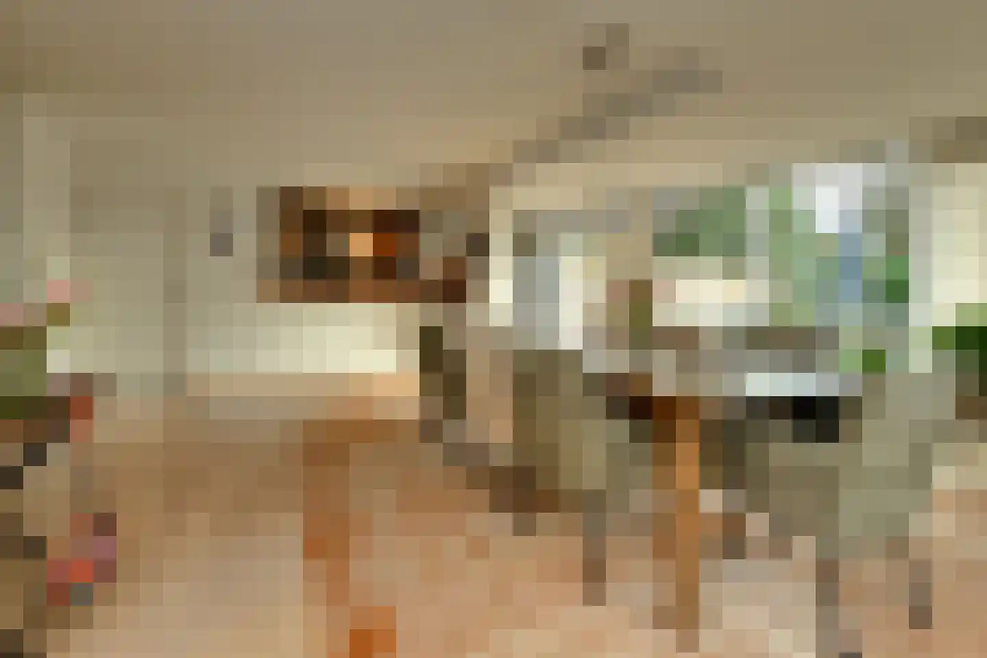 Mezenlaan 61 Oosterhout thumbnail 10
