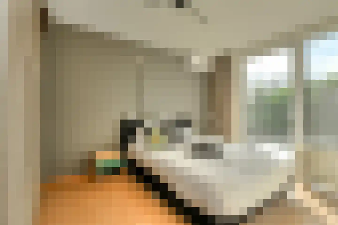 Mezenlaan 61 Oosterhout thumbnail 24