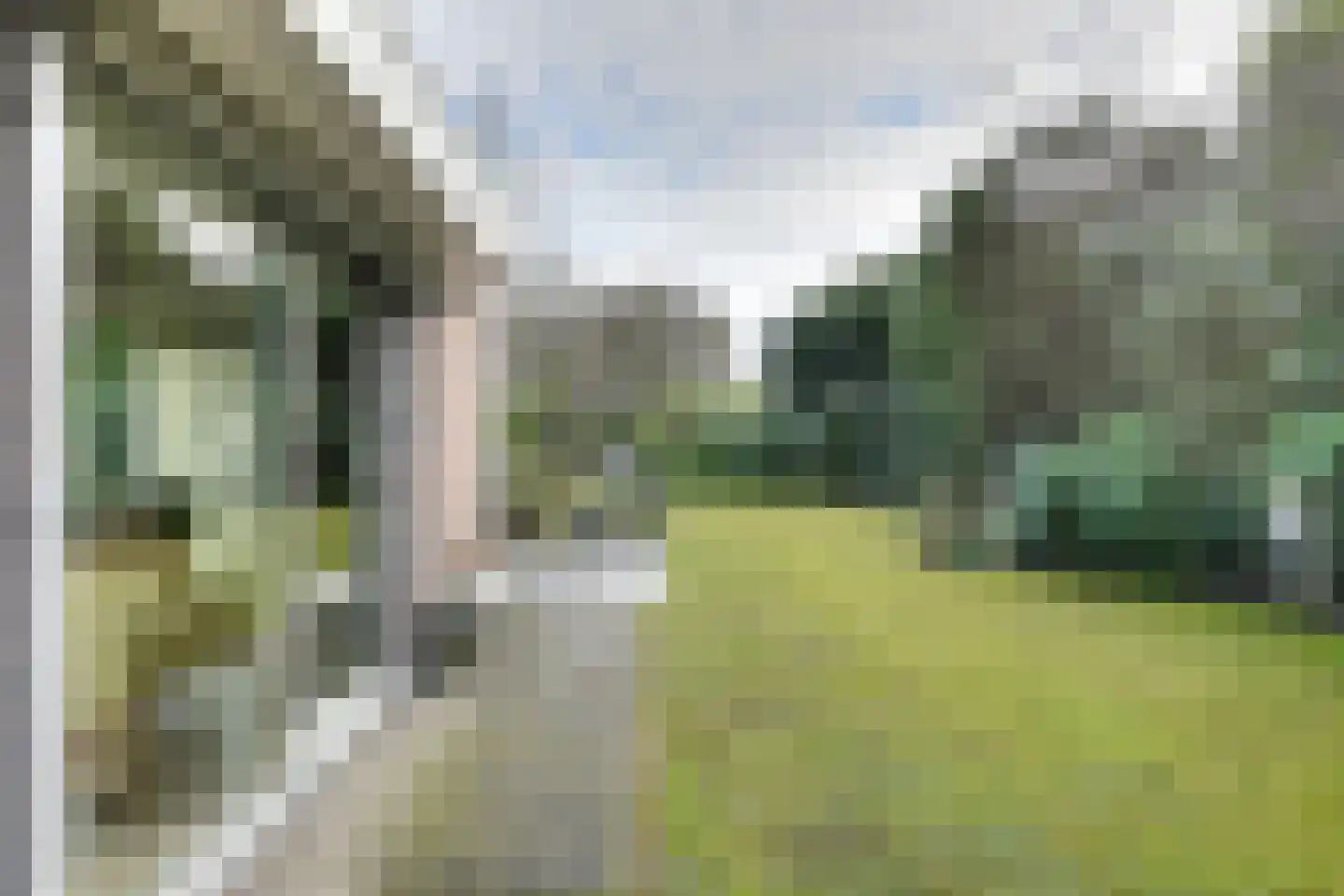 Mezenlaan 61 Oosterhout thumbnail 33