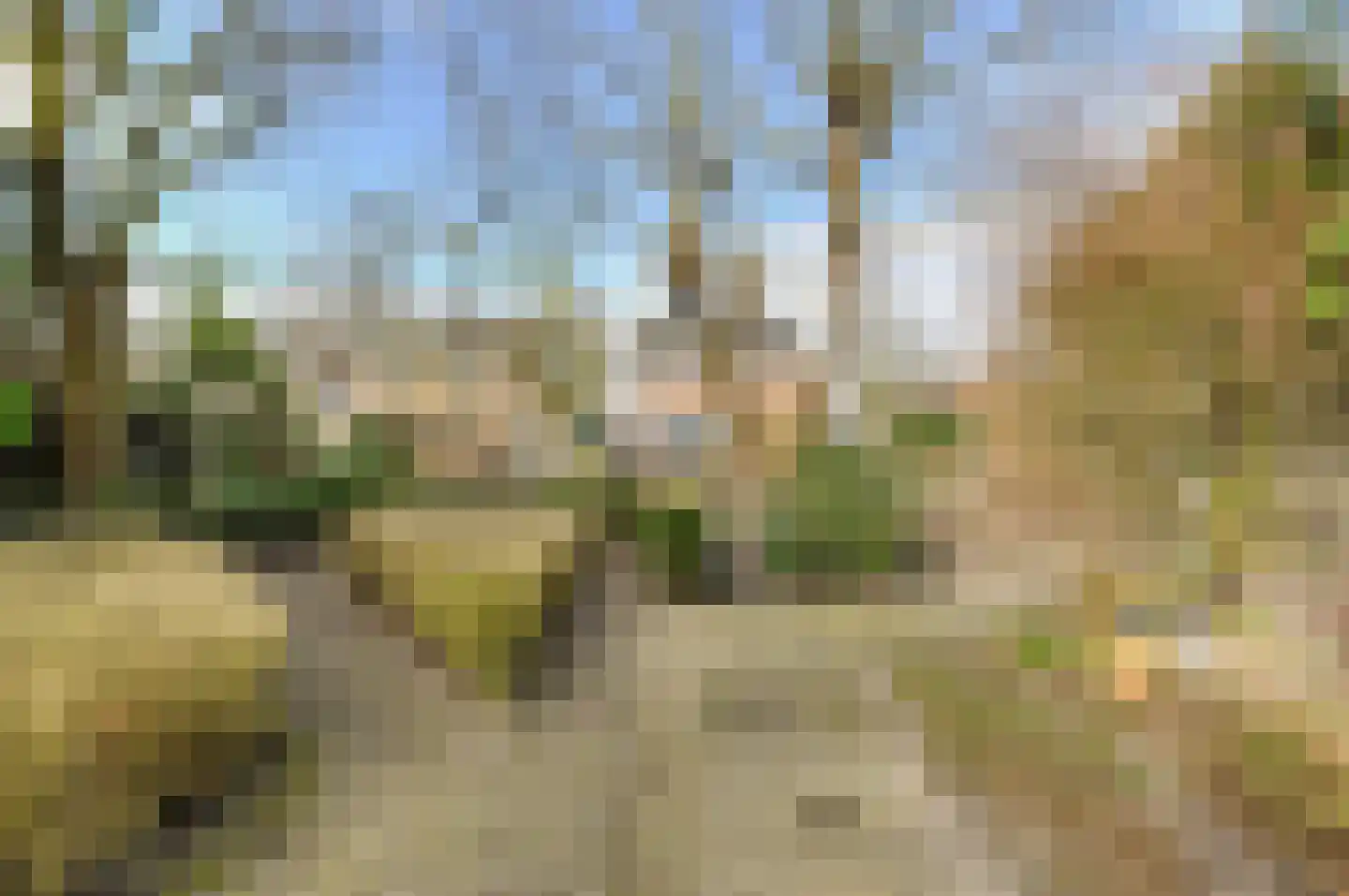 Mezenlaan 61 Oosterhout thumbnail 37