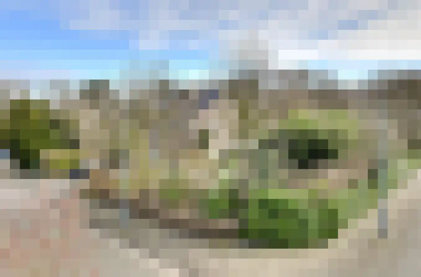 Mezenlaan 61 Oosterhout thumbnail 38