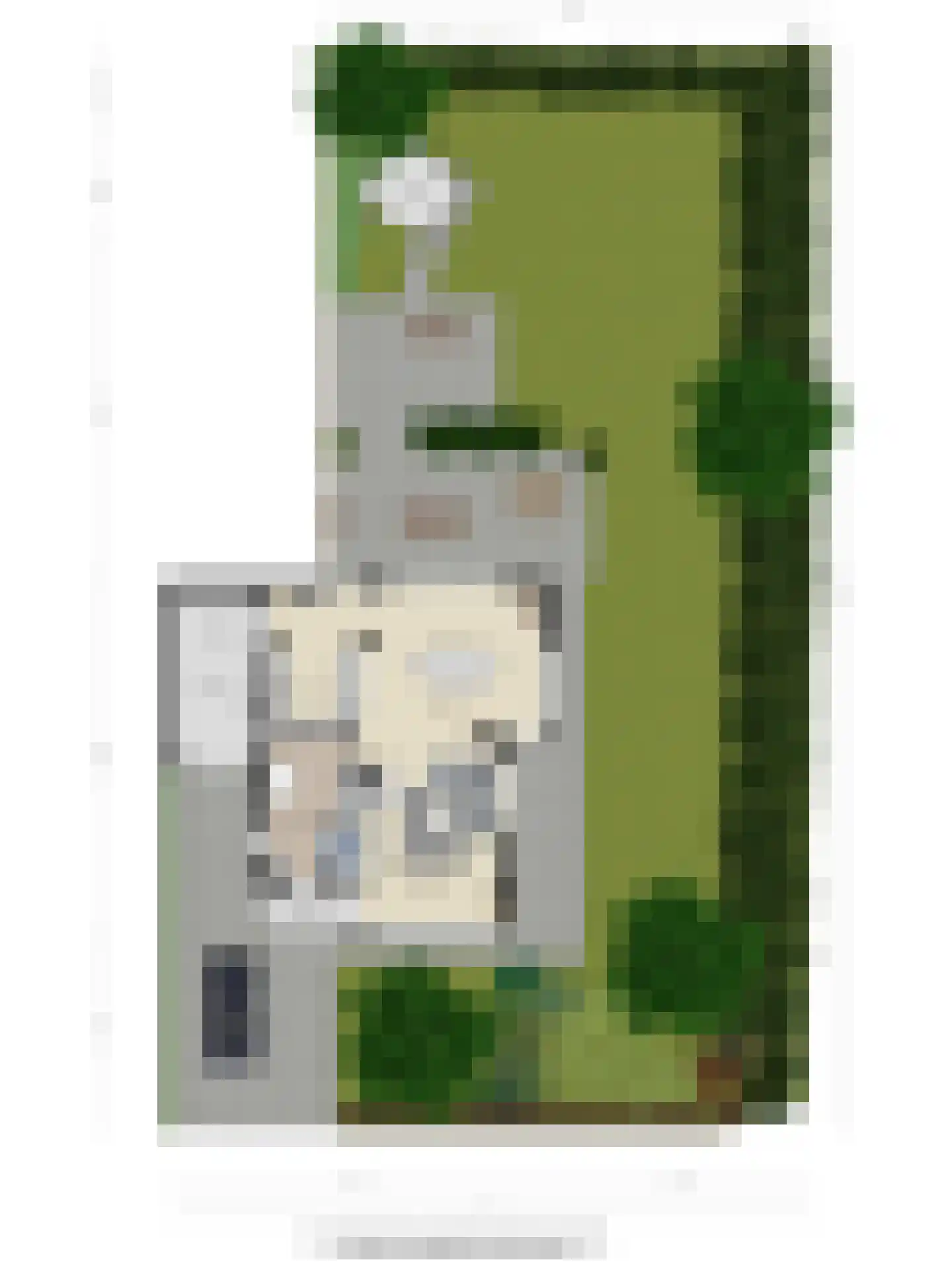 Mezenlaan 61 Oosterhout thumbnail 39