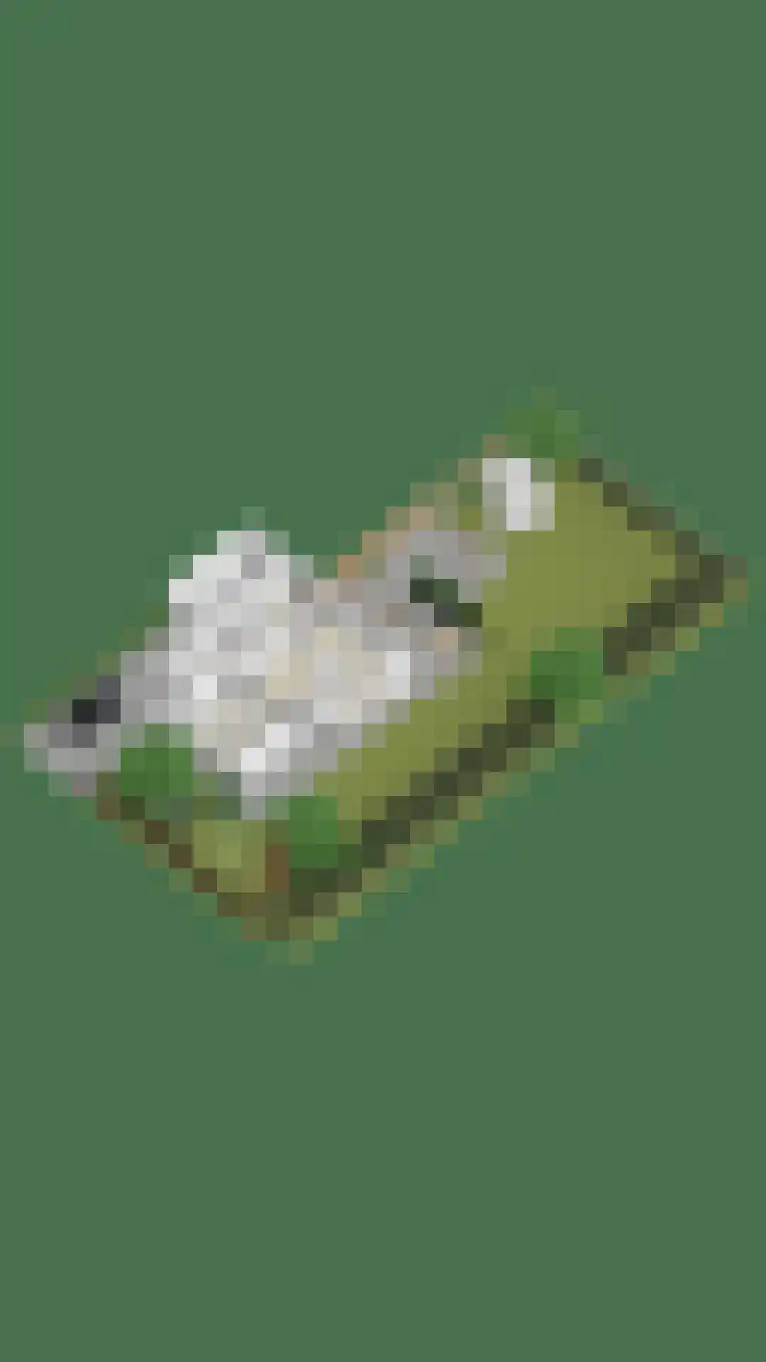 Mezenlaan 61 Oosterhout thumbnail 44