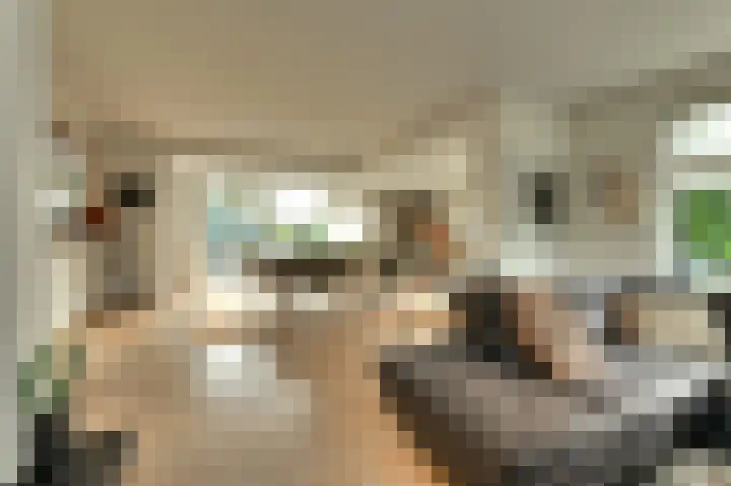 Mezenlaan 61 Oosterhout thumbnail 7