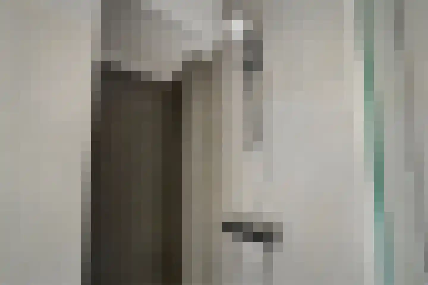 Mezenlaan 7 Assen thumbnail 15