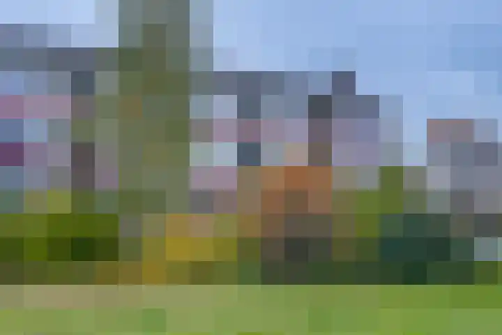 Mezenlaan 83 Dieren