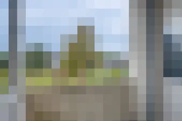 Mezenlaan 83 Dieren thumbnail 12