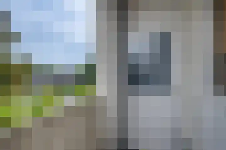 Mezenlaan 83 Dieren thumbnail 13