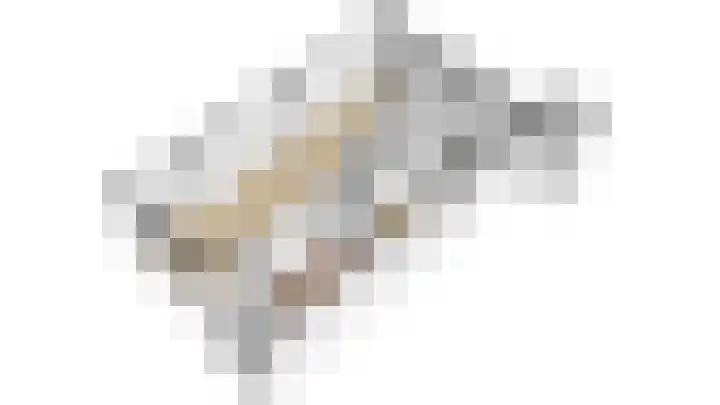 Mezenlaan 83 Dieren thumbnail 28