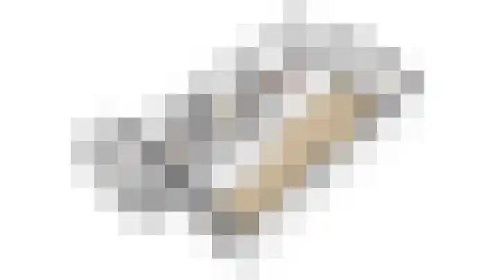 Mezenlaan 83 Dieren thumbnail 29