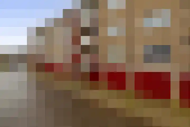 Mezenlaan 93 Dieren