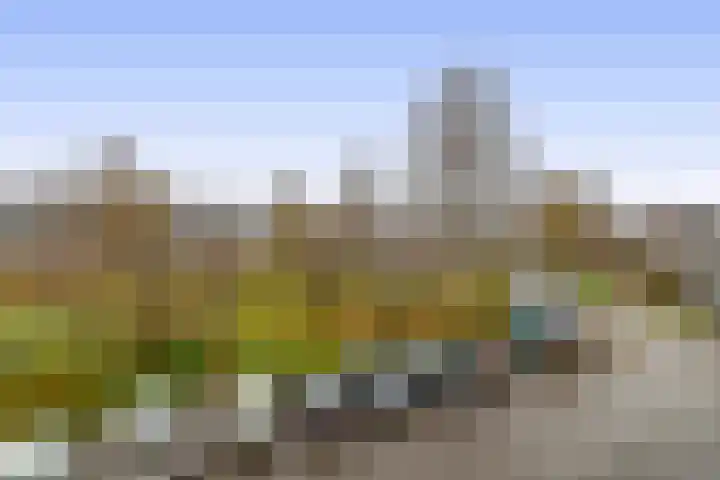 Mezenlaan 93 Dieren thumbnail 16