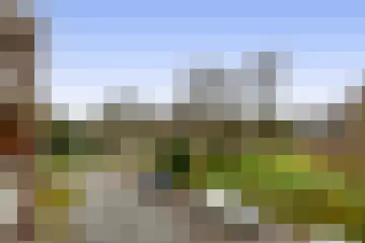 Mezenlaan 93 Dieren thumbnail 17