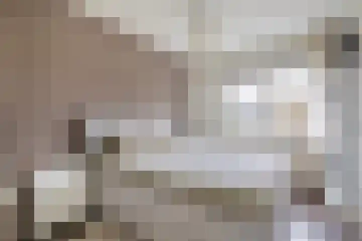 Mezenlaan 93 Dieren thumbnail 19