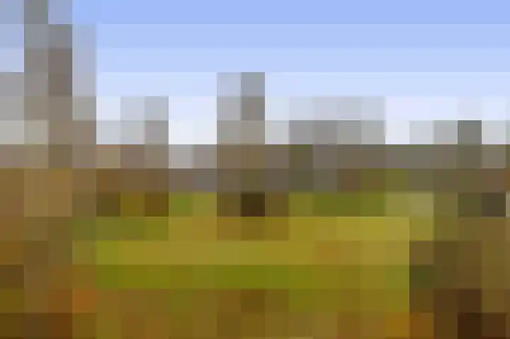 Mezenlaan 93 Dieren thumbnail 26