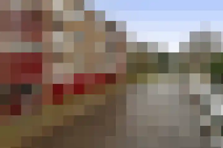 Mezenlaan 93 Dieren thumbnail 29