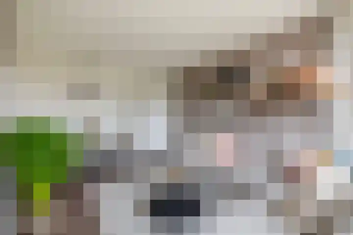 Mezenlaan 93 Dieren foto 3
